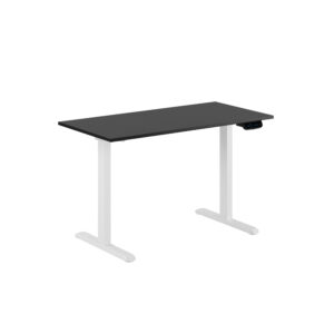 Origpic — Litet Ergo – 2 motorer –  Höj och sänkbart skrivbord. 100×60 & 100×70