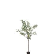 Origpic e — Oliv 170 cm – Konstgjort träd