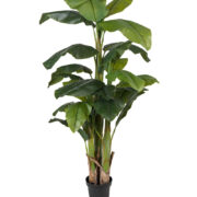 Banan 240 cm – Konstgjort träd.