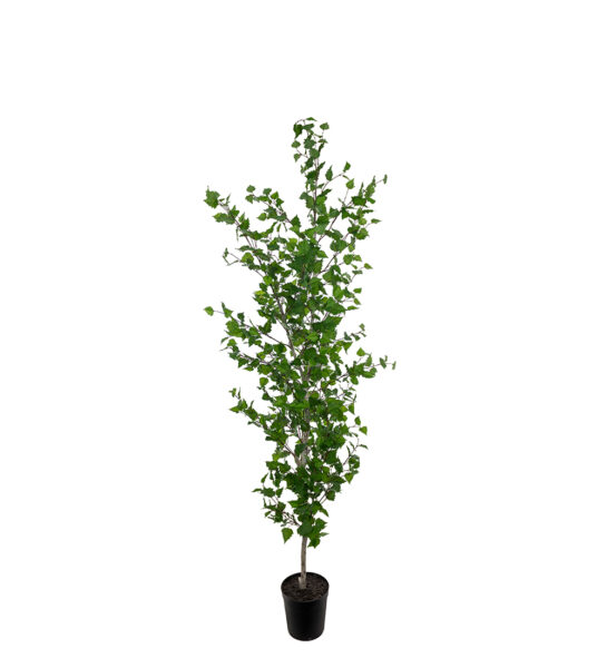 Björk 250 cm – Konstgjort träd