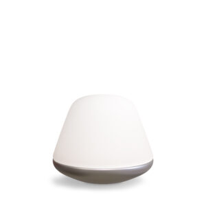 Bloom Small Bordslampa D200 – Elegant bordslampa i glas och metall – Satin Silver