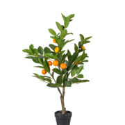 Citrus 70 cm – Konstgjort träd | 4-PACK