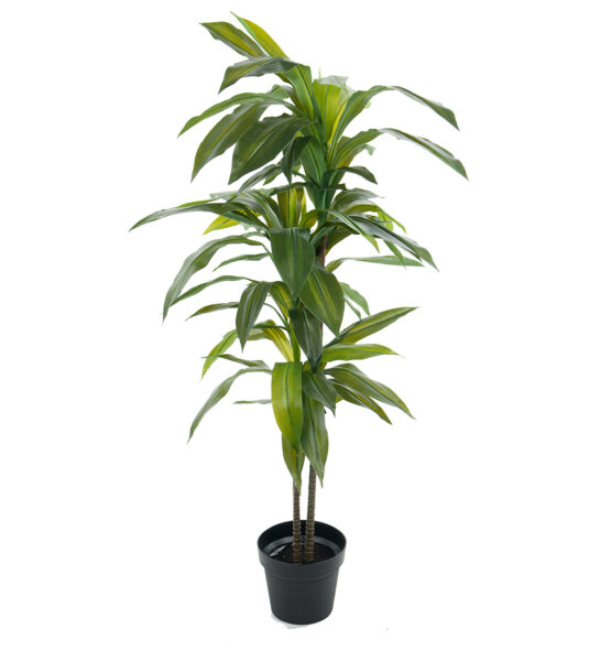 Dracena 100 cm  – Konstgjort träd . 4-PACK