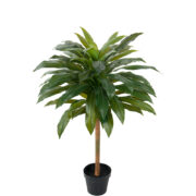 Dracena 100 cm  – Konstgjort träd . 4-PACK