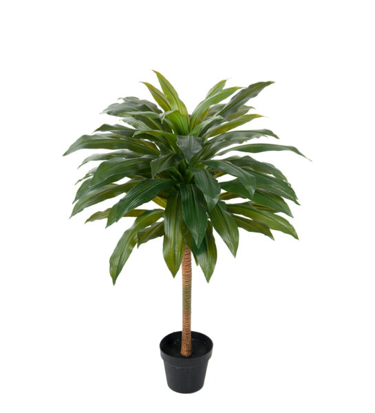 Dracena 100 cm  – Konstgjort träd . 4-PACK