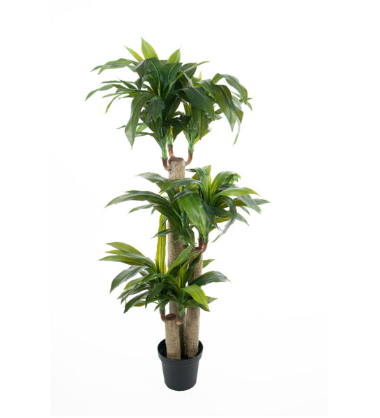 Dracena 140 cm – Konstgjort träd