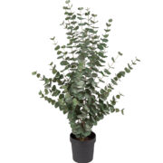 Eucalyptus 110 cm – Konstgjort träd