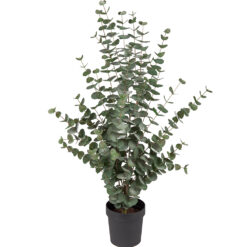 Eucalyptus 110 cm – Konstgjort träd