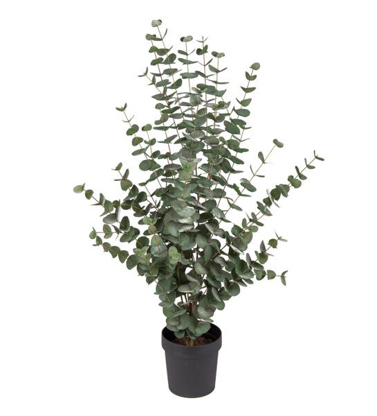 Eucalyptus 110 cm – Konstgjort träd