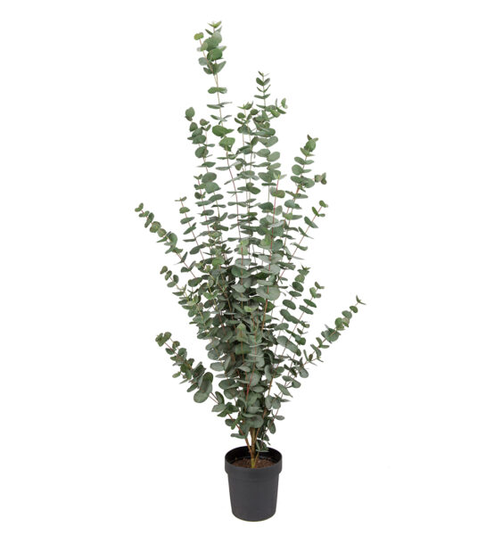 Eucalyptus 170 cm – Konstgjort träd