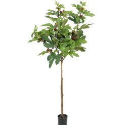 Fikon 150 cm – Konstgjort träd – 2-PACK