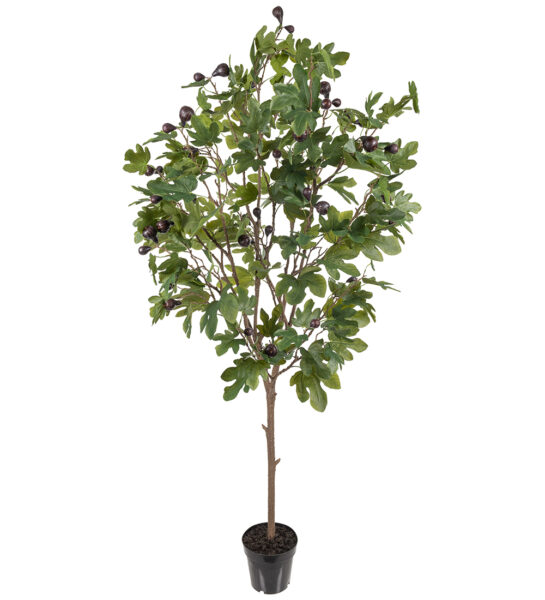 Fikon 210 cm – Konstgjort träd