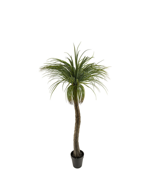 Flasklilja 180 cm – Konstgjort träd