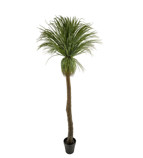 Flasklilja 220 cm  – Konstgjort träd