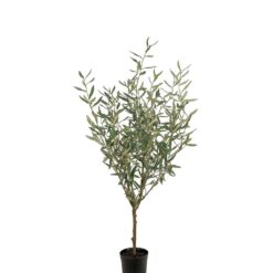 Oliv 130 cm