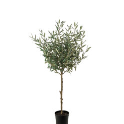 Oliv 150 cm – Konstgjort träd