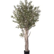 Oliv 190 cm – Konstgjort träd