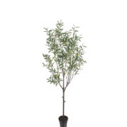 Oliv 200 cm – Konstgjort träd
