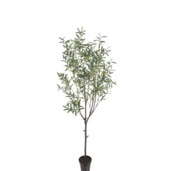 Oliv 200 cm – Konstgjort träd