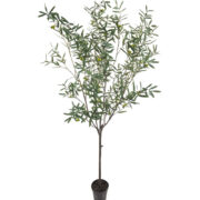 Oliv 230 cm – Konstgjort träd
