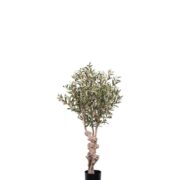 Oliv – Konstväxt – 120 cm – Grön 2-pack