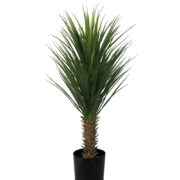 Yucca Rostrata 100 cm – Konstgjort träd 2-PACK