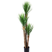Yucca Rostrata 150 cm – Konstgjort träd 2-PACK