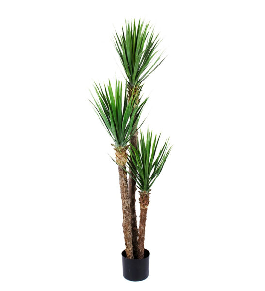 Yucca Rostrata 150 cm – Konstgjort träd 2-PACK