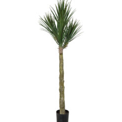 Yucca Rostrata 180 cm – Konstgjort träd.