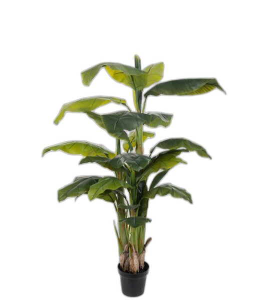 Banan 150 cm – Konstgjort träd . 2-PACK