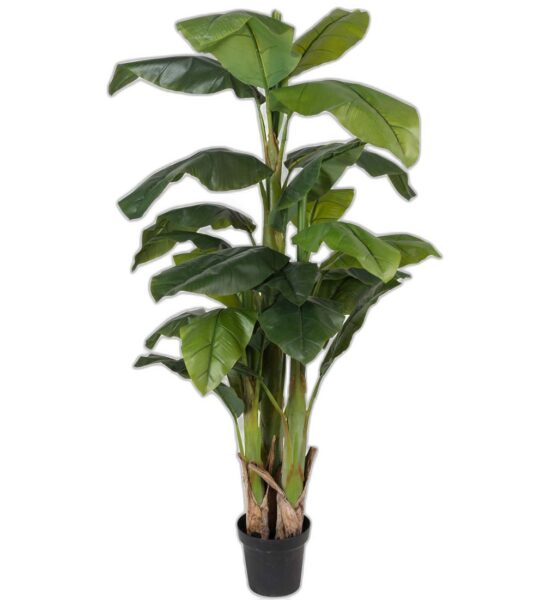 Banan 240 cm – Konstgjort träd.