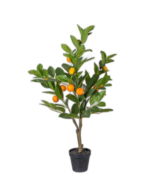 Citrus 70 cm – Konstgjort träd | 4-PACK