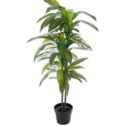 Dracena 100 cm – Konstgjort träd . 4-PACK