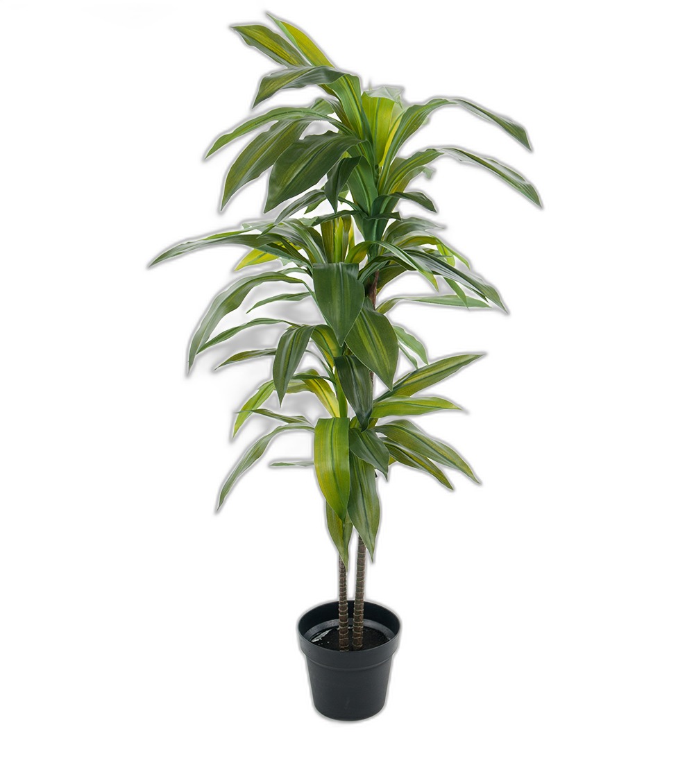 Dracena 100 cm – Konstgjort träd . 4-PACK