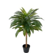 Dracena 100 cm – Konstgjort träd . 4-PACK