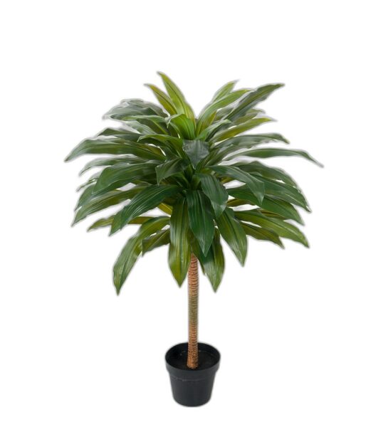 Dracena 100 cm  – Konstgjort träd . 4-PACK