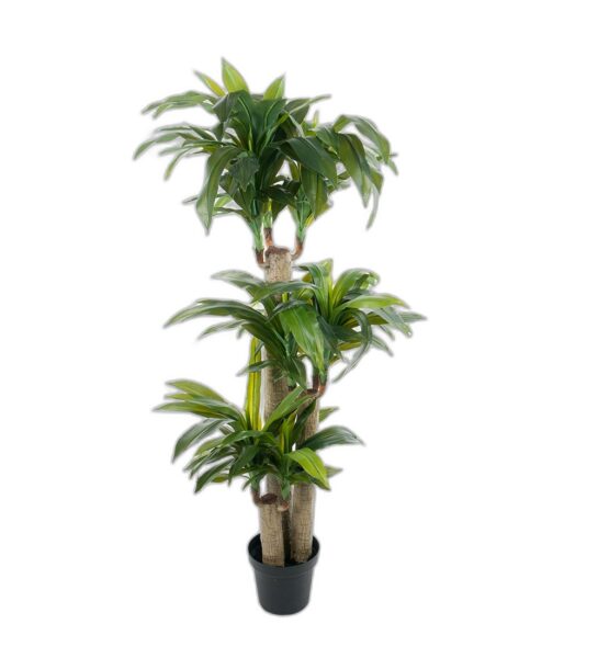 Dracena 140 cm – Konstgjort träd