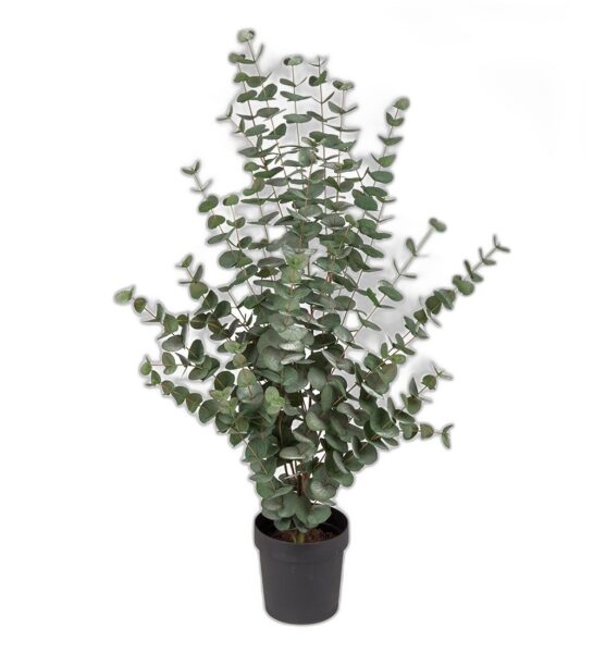 Eucalyptus 110 cm – Konstgjort träd