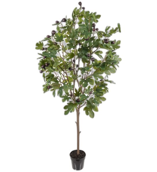 Fikon 210 cm – Konstgjort träd
