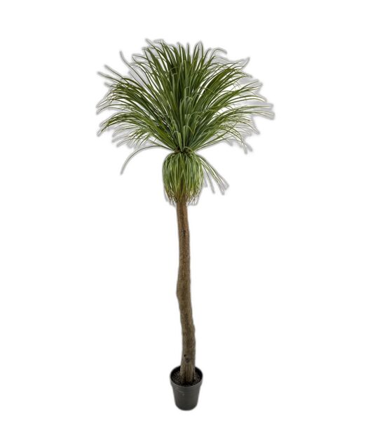 Flasklilja 220 cm  – Konstgjort träd