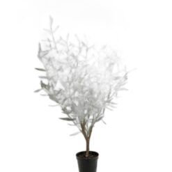 Oliv 100 cm – Konstgjort träd