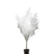 Oliv 130 cm