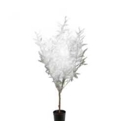 Oliv 130 cm