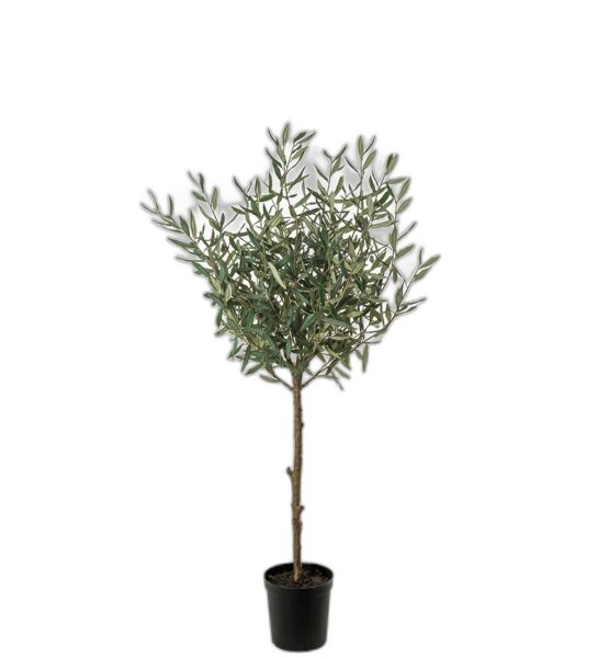 Oliv 150 cm – Konstgjort träd