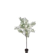 Oliv 170 cm – Konstgjort träd