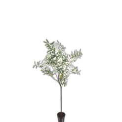 Oliv 170 cm – Konstgjort träd