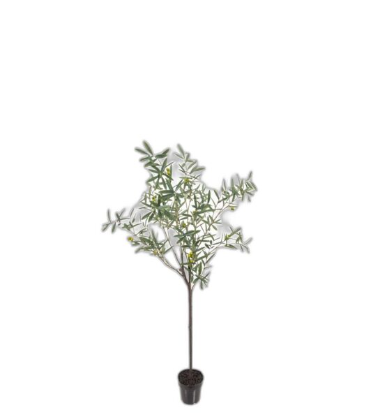 Oliv 170 cm – Konstgjort träd