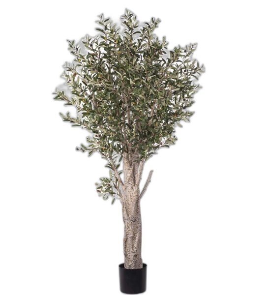 Oliv 190 cm – Konstgjort träd