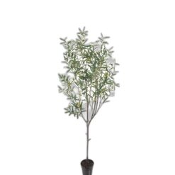 Oliv 200 cm – Konstgjort träd