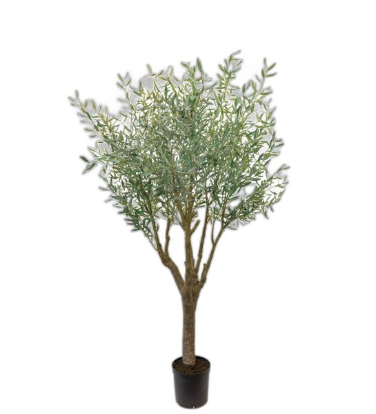 Oliv 240 cm – Konstgjort träd